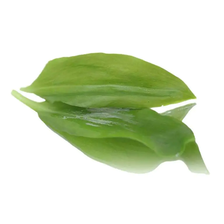 wild-garlic .webp